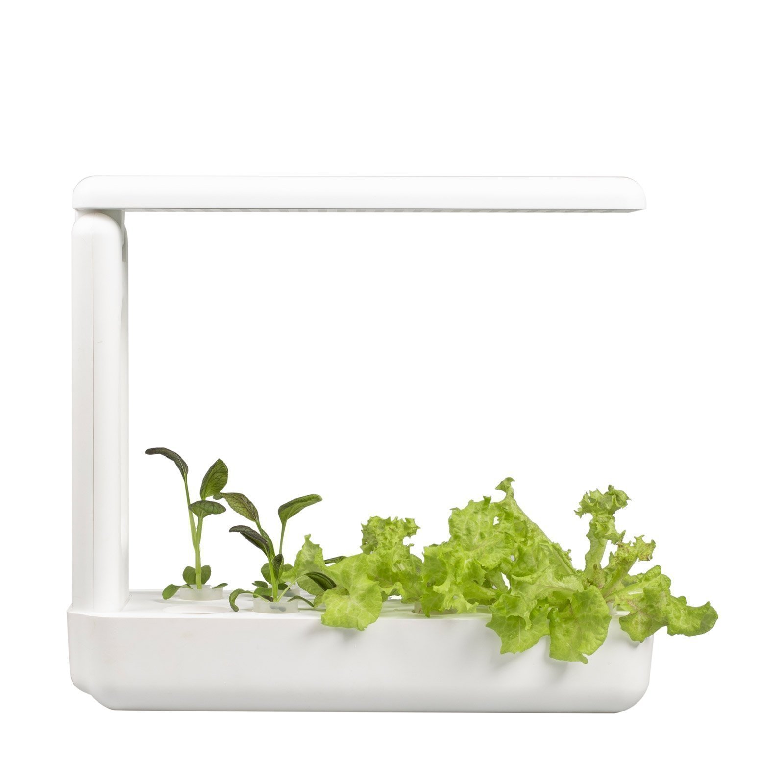 Vegebox™ Kitchen - Indoor Hydroponic Garden