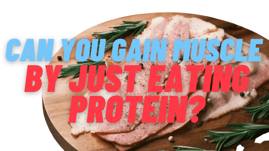 Can you gain muscle by just eating protein