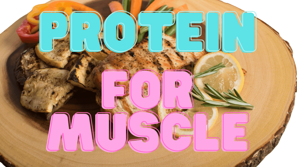 Can you make muscle without protein?